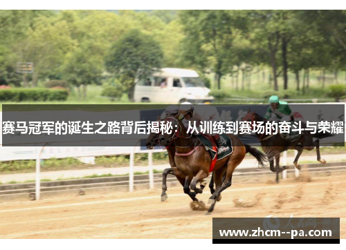 赛马冠军的诞生之路背后揭秘:从训练到赛场的奋斗与荣耀 赛马冠军的诞生之路背后揭秘:从训练到赛场的奋斗与荣耀