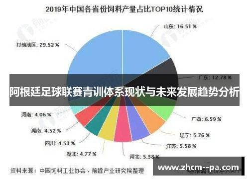 阿根廷足球联赛青训体系现状与未来发展趋势分析